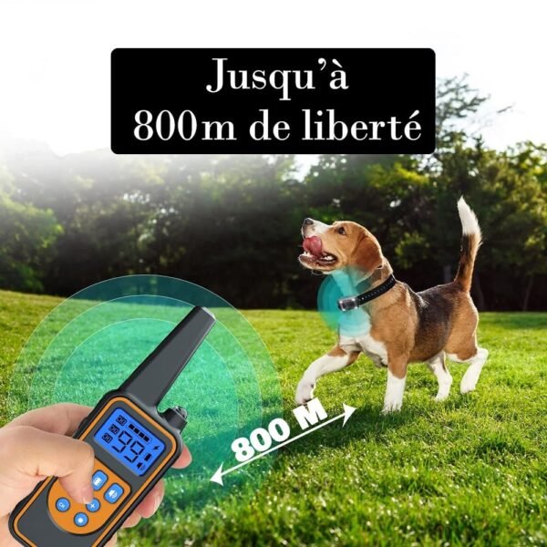 Collier de Dressage Innovant pour Chiens™ – Image 4