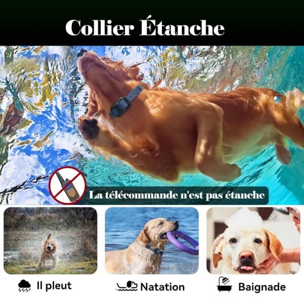 Collier de Dressage Innovant pour Chiens™ – Image 6