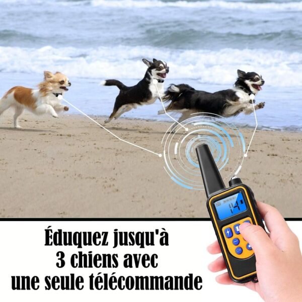 Collier de Dressage Innovant pour Chiens™ – Image 8
