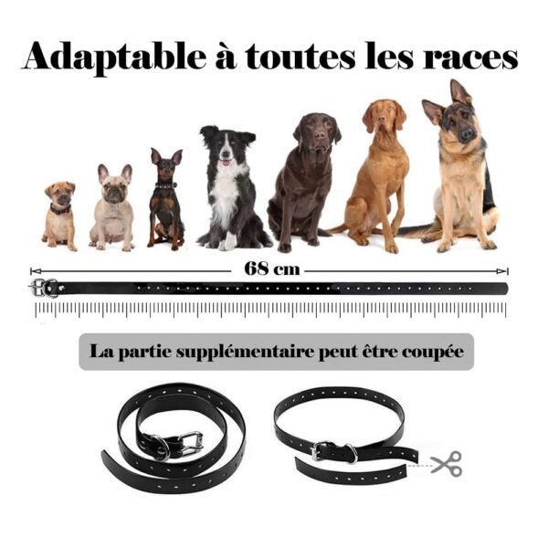 Collier de Dressage Innovant pour Chiens™ – Image 9